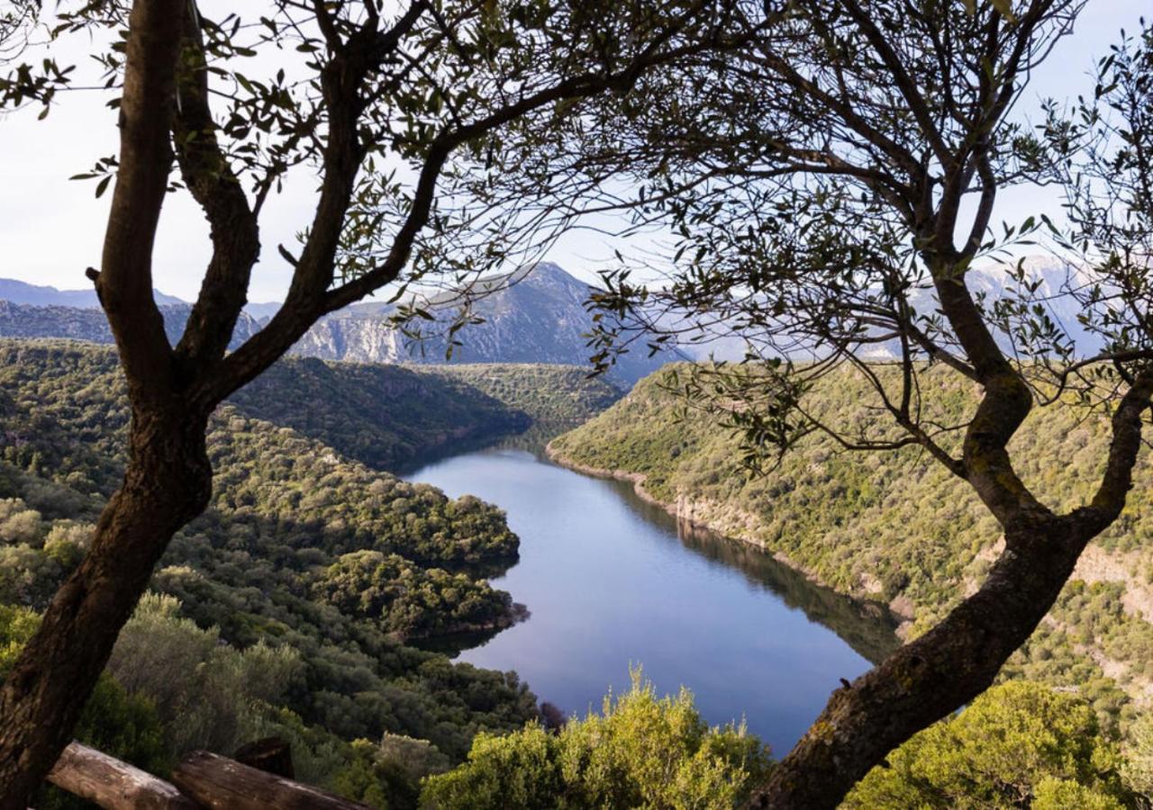 Ecoparco Neule Bauernhof Dorgali